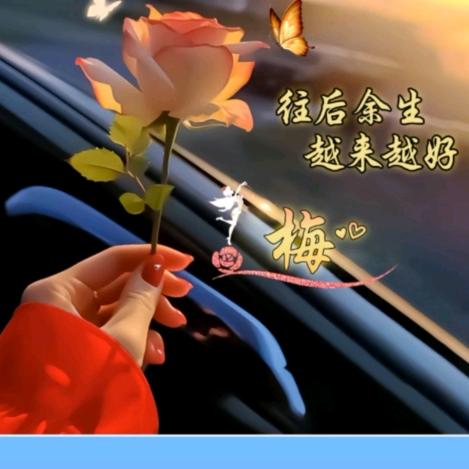 এ᭄梅子ꦿ💔ོ࿐ᩚ💑