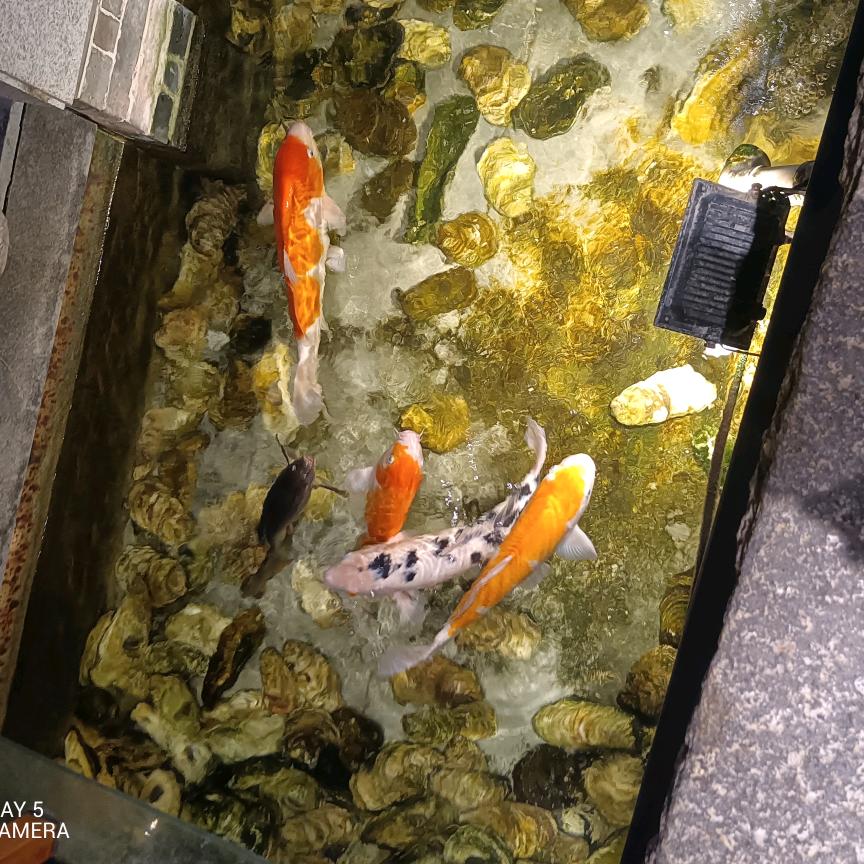 艾麟理疗养生馆