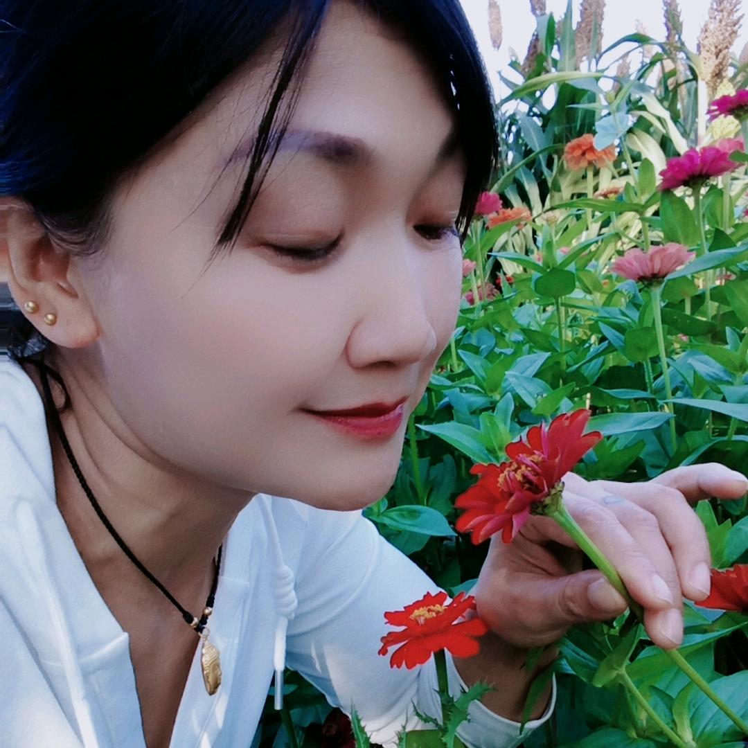 小蓝子