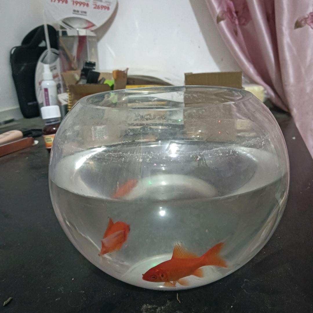 利利百货