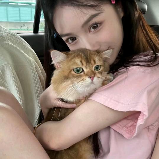 皖