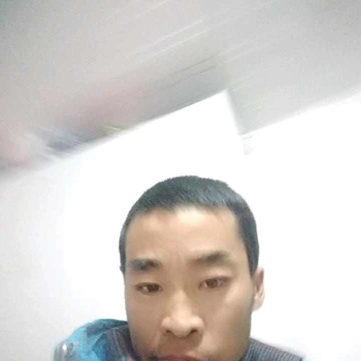 单身汪汪