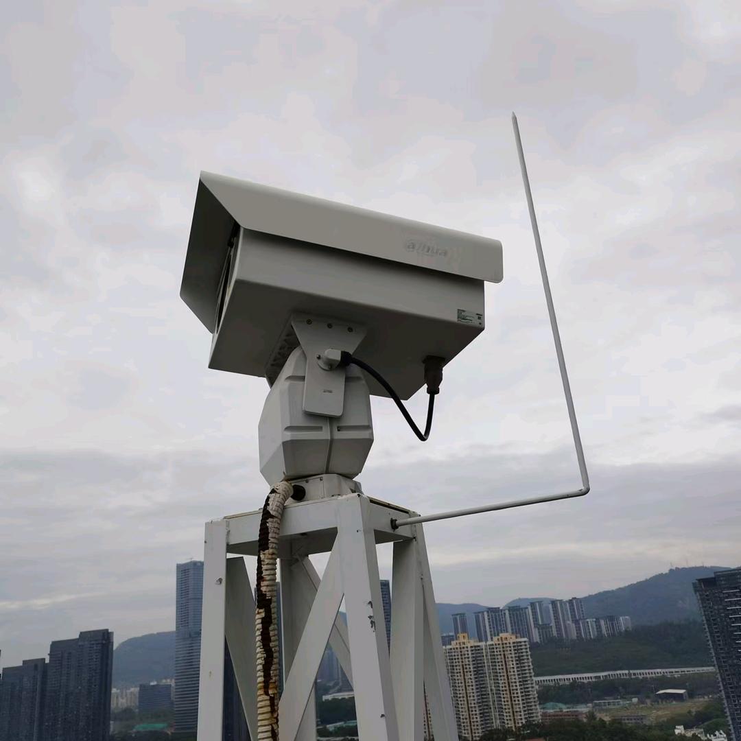 林少