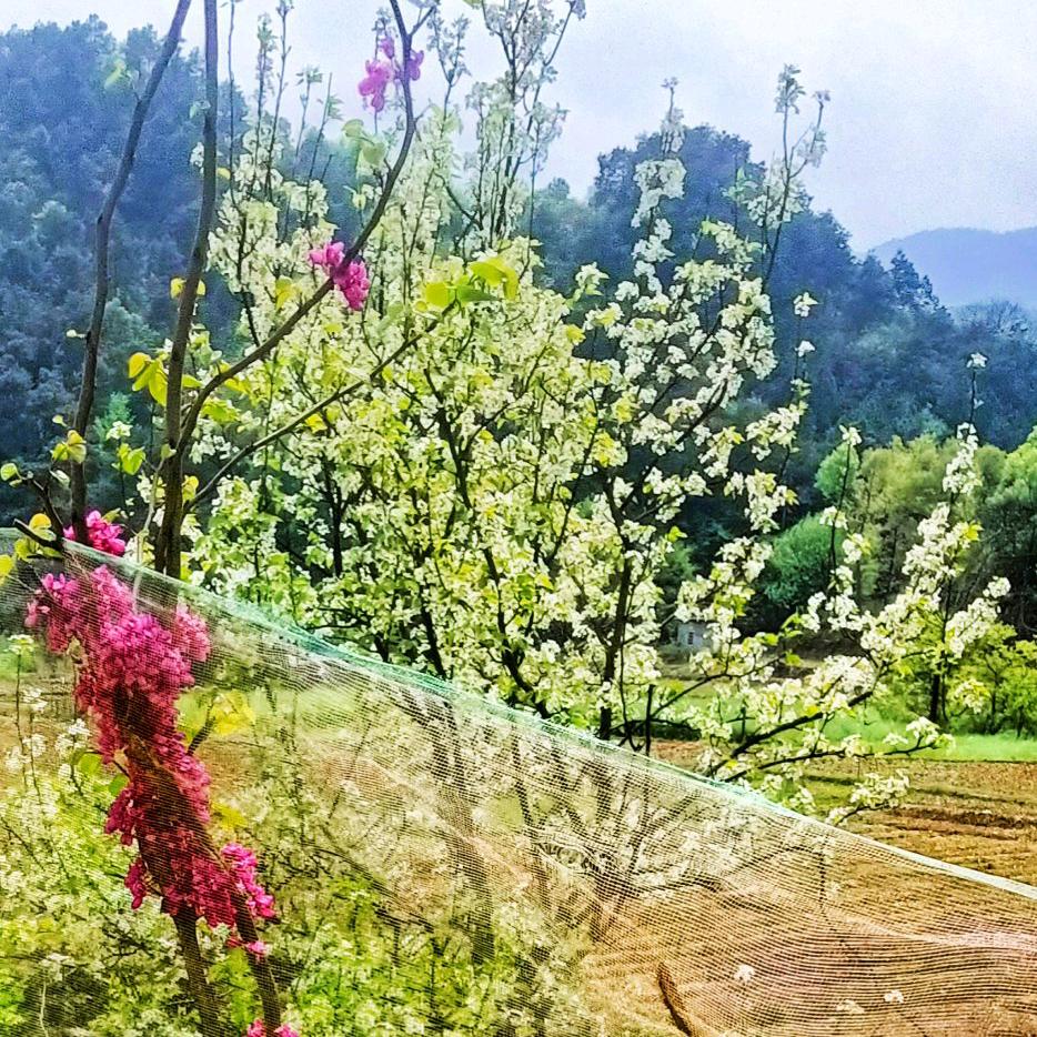 梦&离殇头像