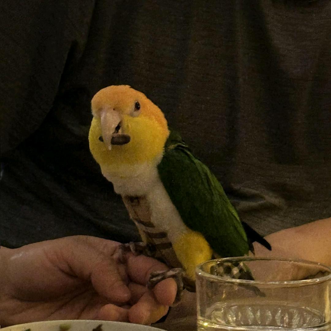 木纹