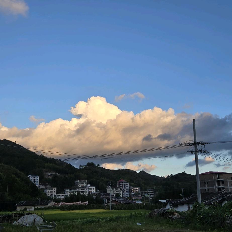 蔷蔷直播返场