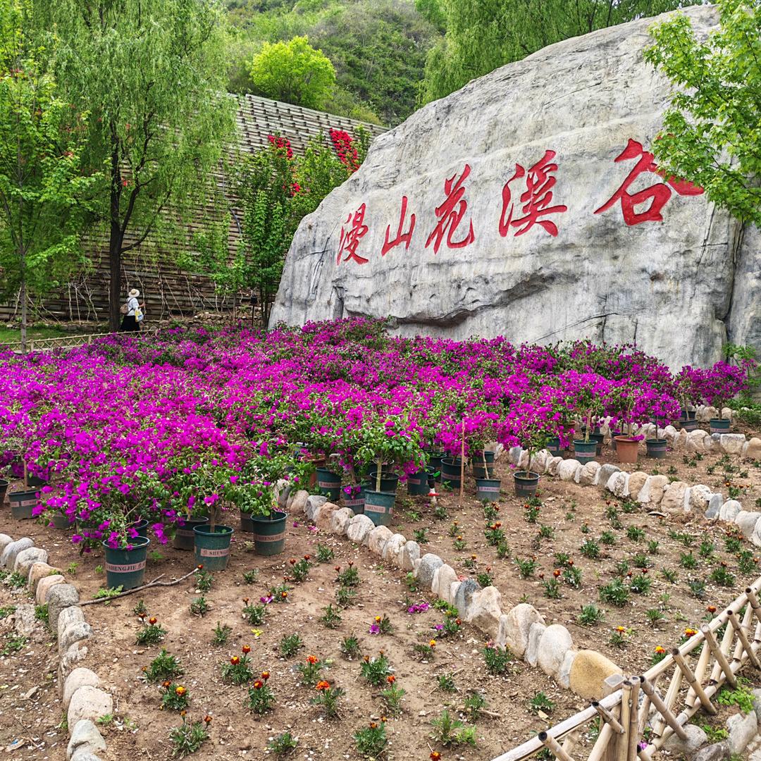 中国🇨🇳~小伙