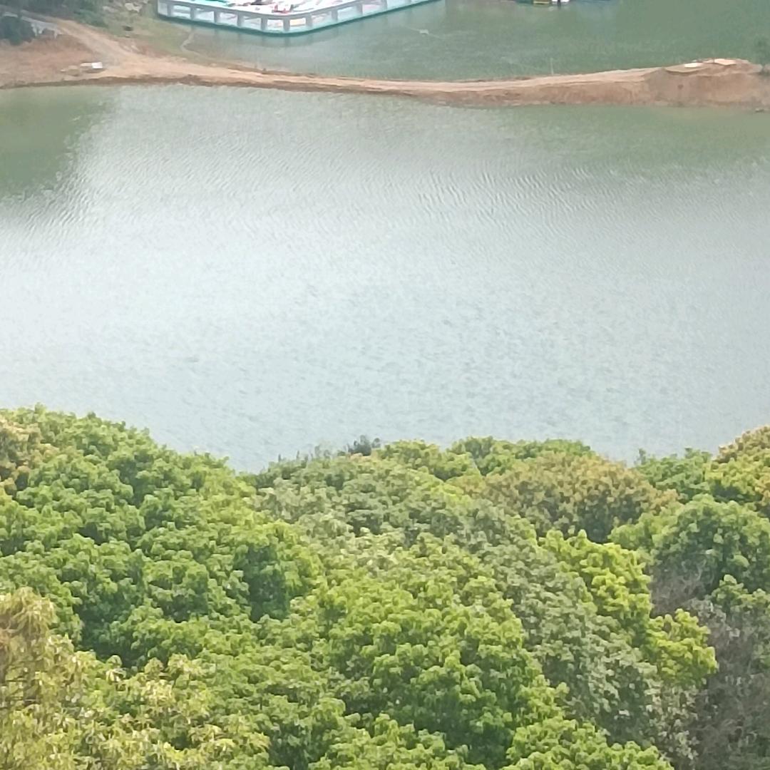 注销账号了
