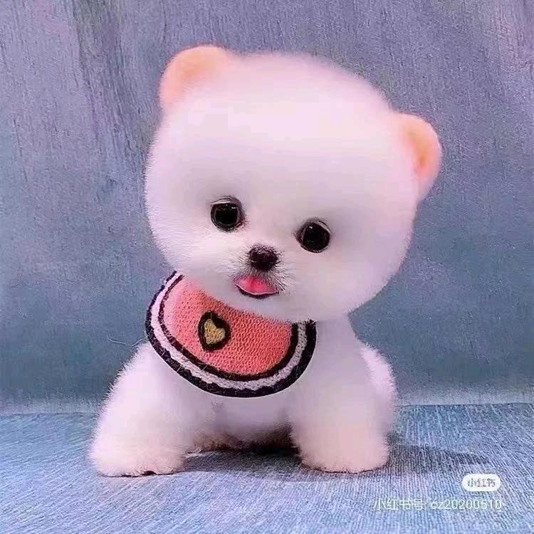 有@你@真@好@1314