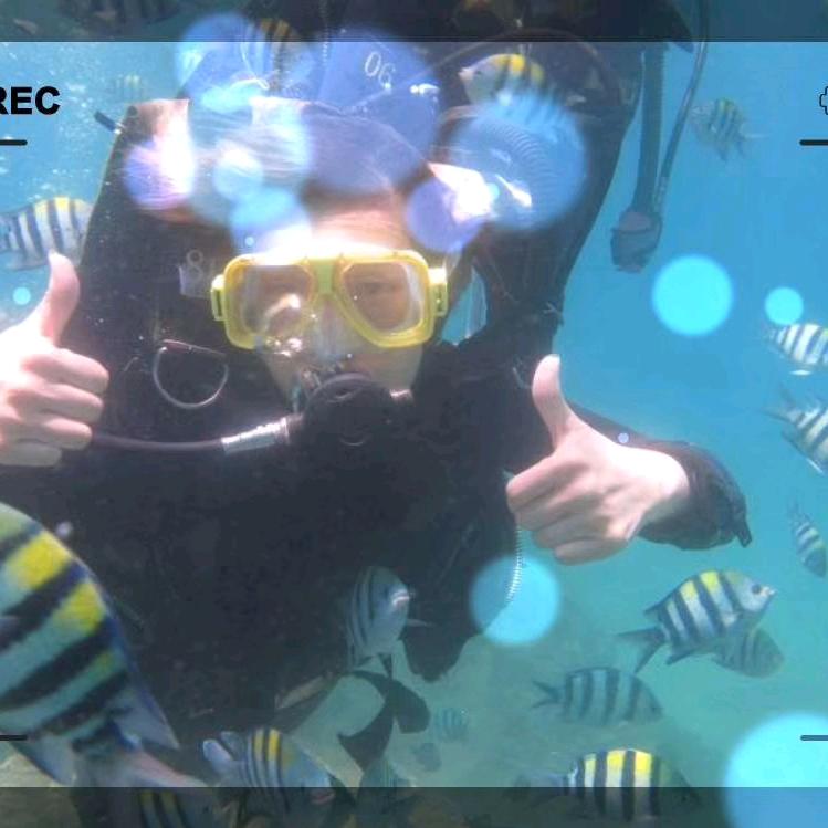 熊猫姐下午2点😋