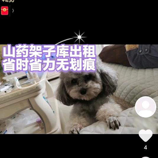 出租架子冷库，大曲堤村