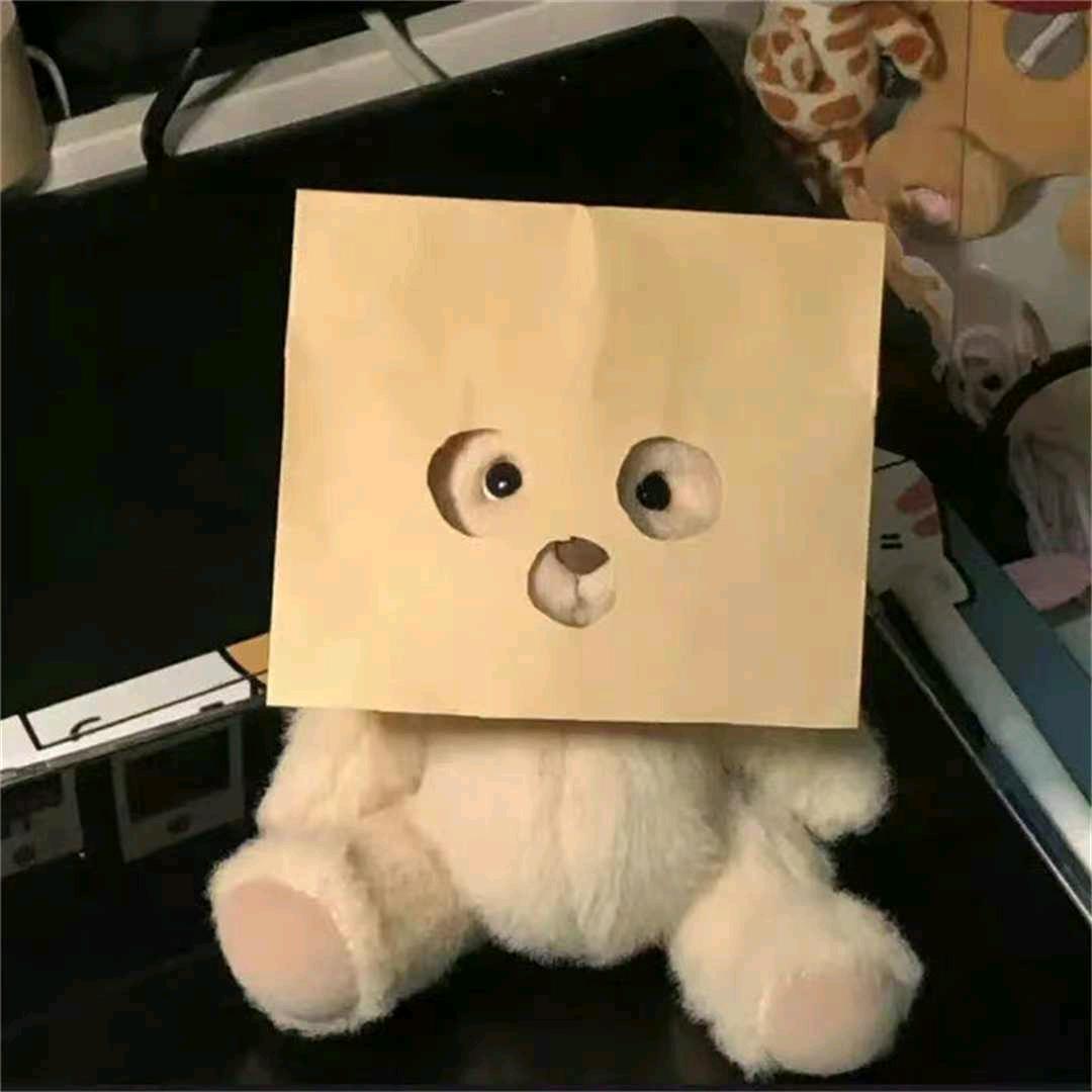 苹果姐姐(∗❛ัᴗ❛ั∗)向阳花