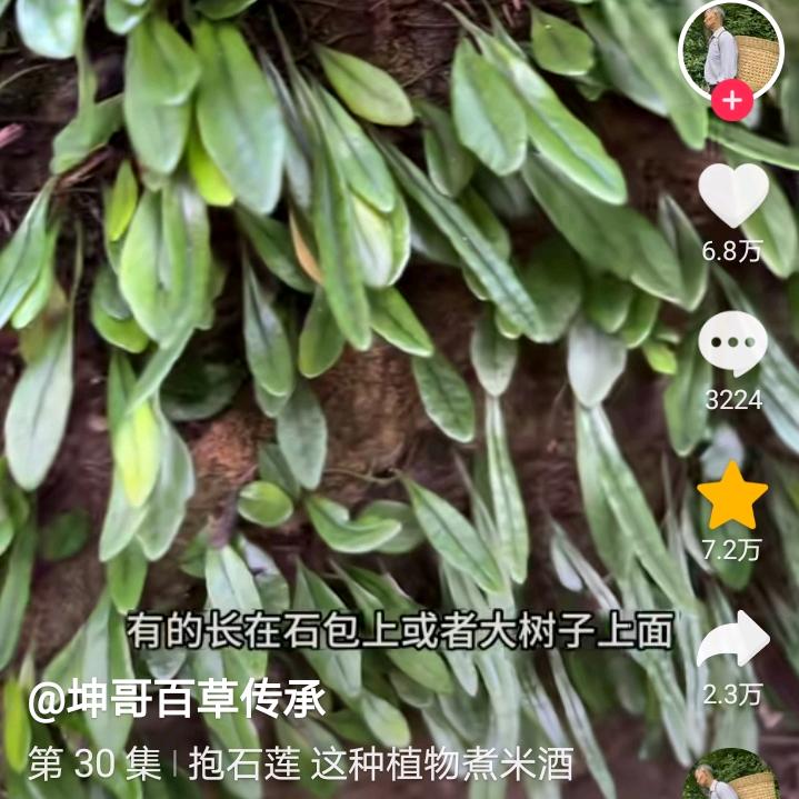 老四💅西瓜大王