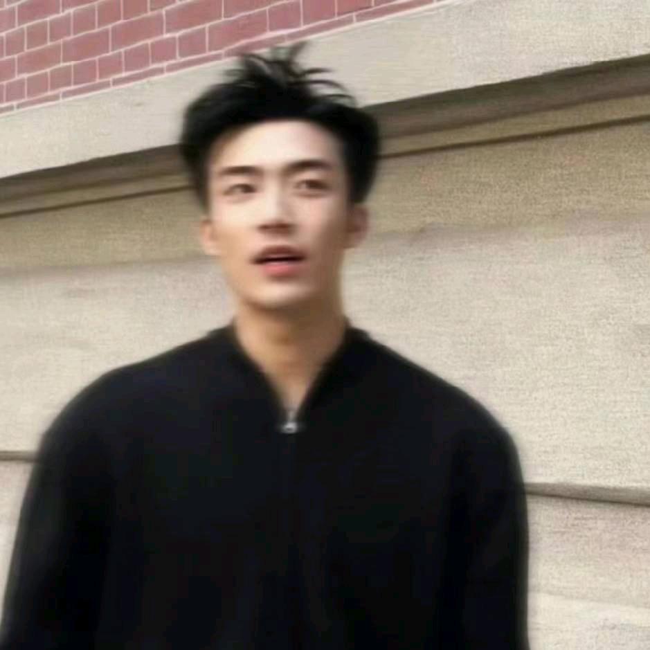 白兰鸽