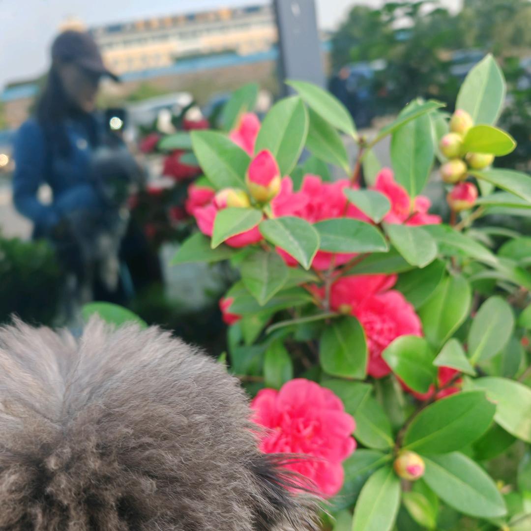 沐浴阳光下