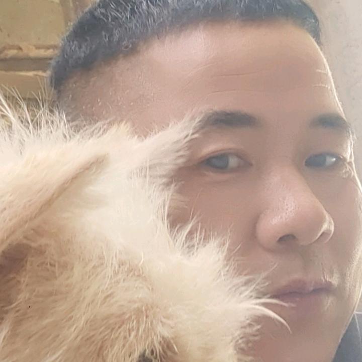 向瑞涵爸爸（大叔也疯狂🐕）