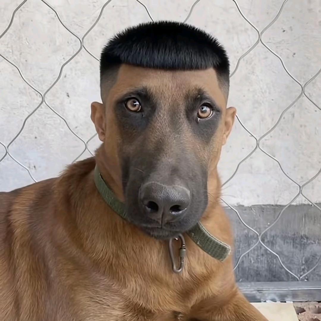 K 老表🤓
