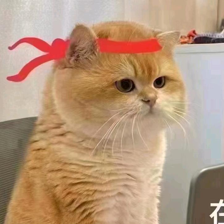 璞舍SPA欣欣