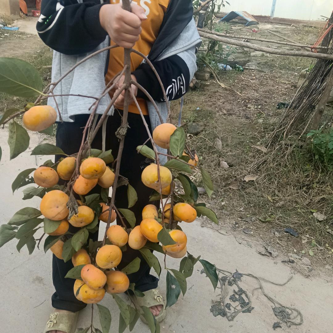  😀 爱宝贝