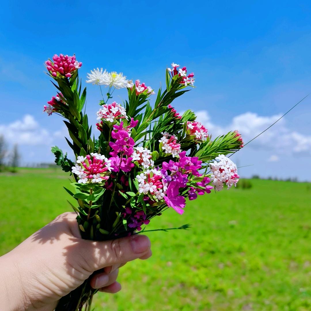 开开心心每一天