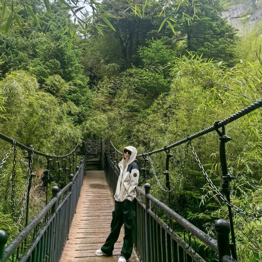 希宝。