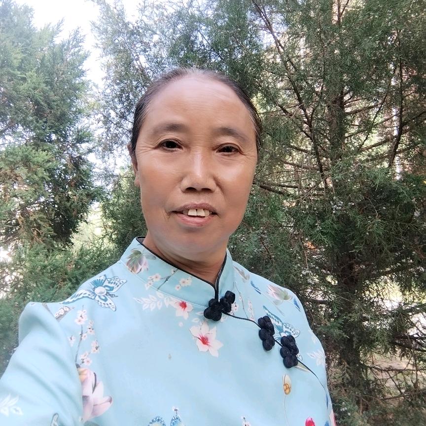 聪姐