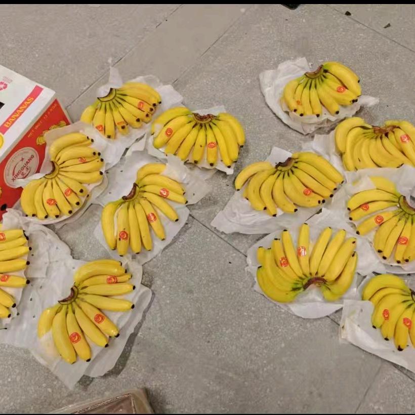 西安香蕉肥肥果业