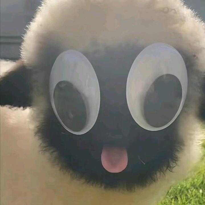 泼天富贵朝我来