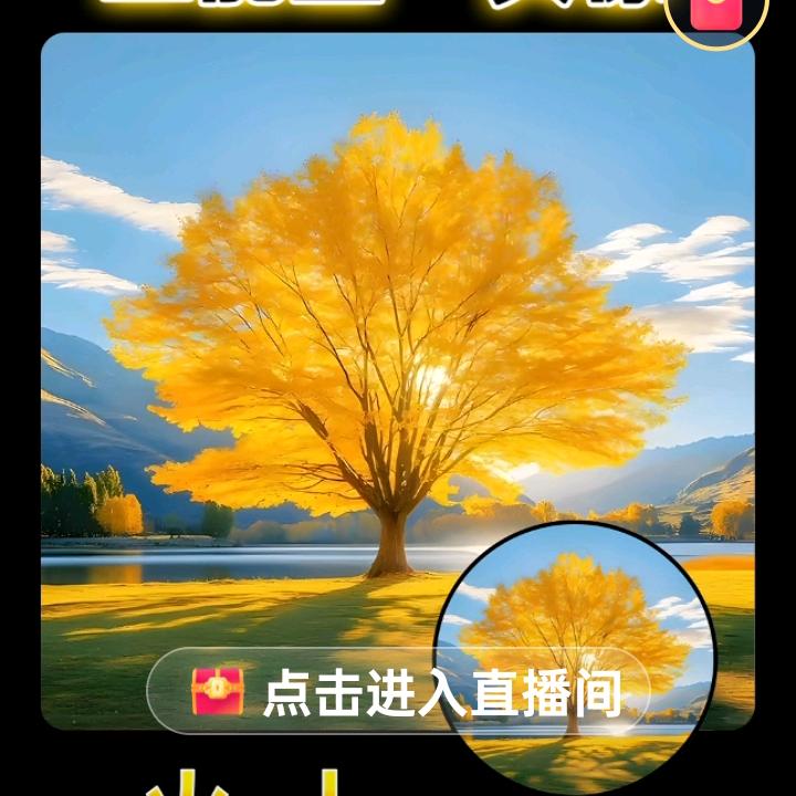 俩宝奶奶