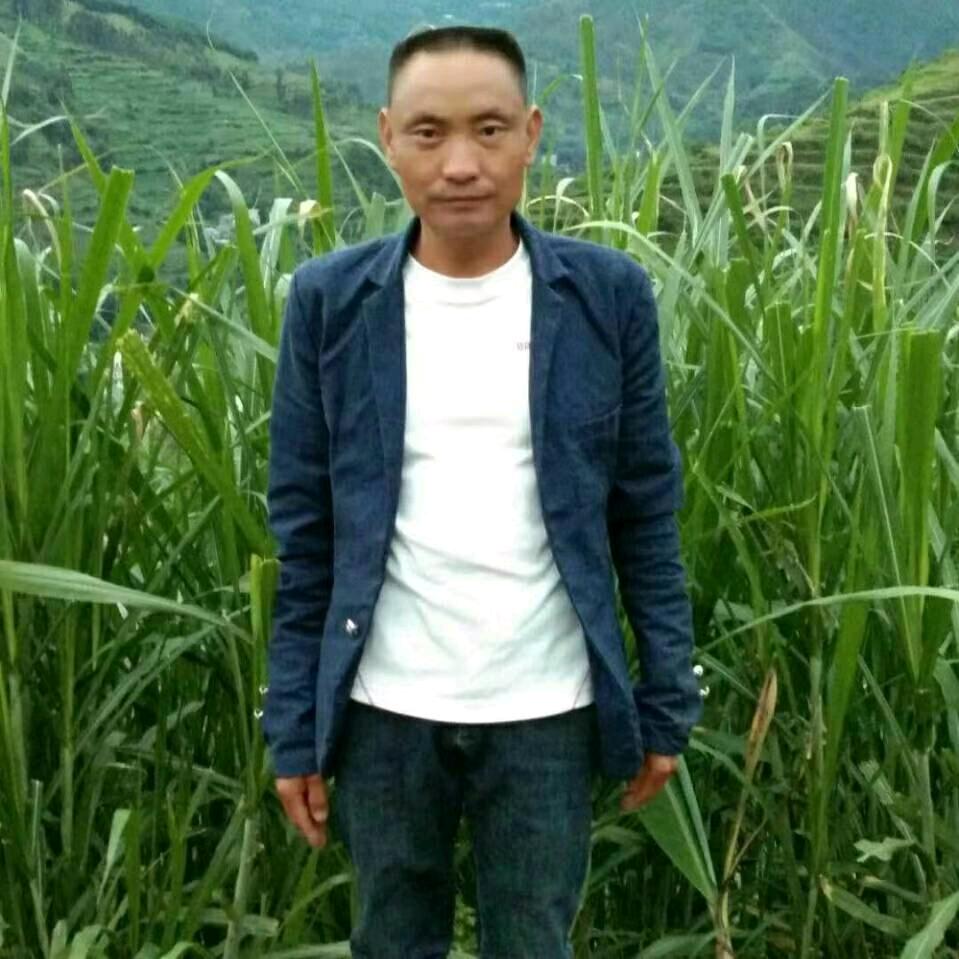 农村小哥.