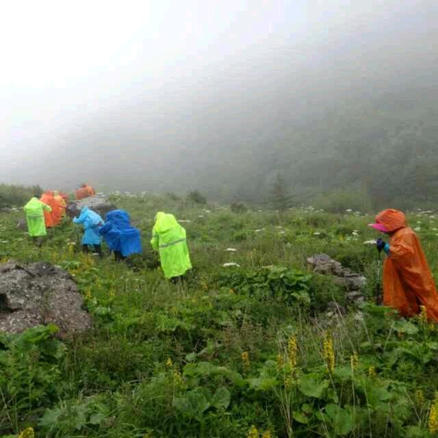 🎶✨道可道非常道🇨🇳🍷