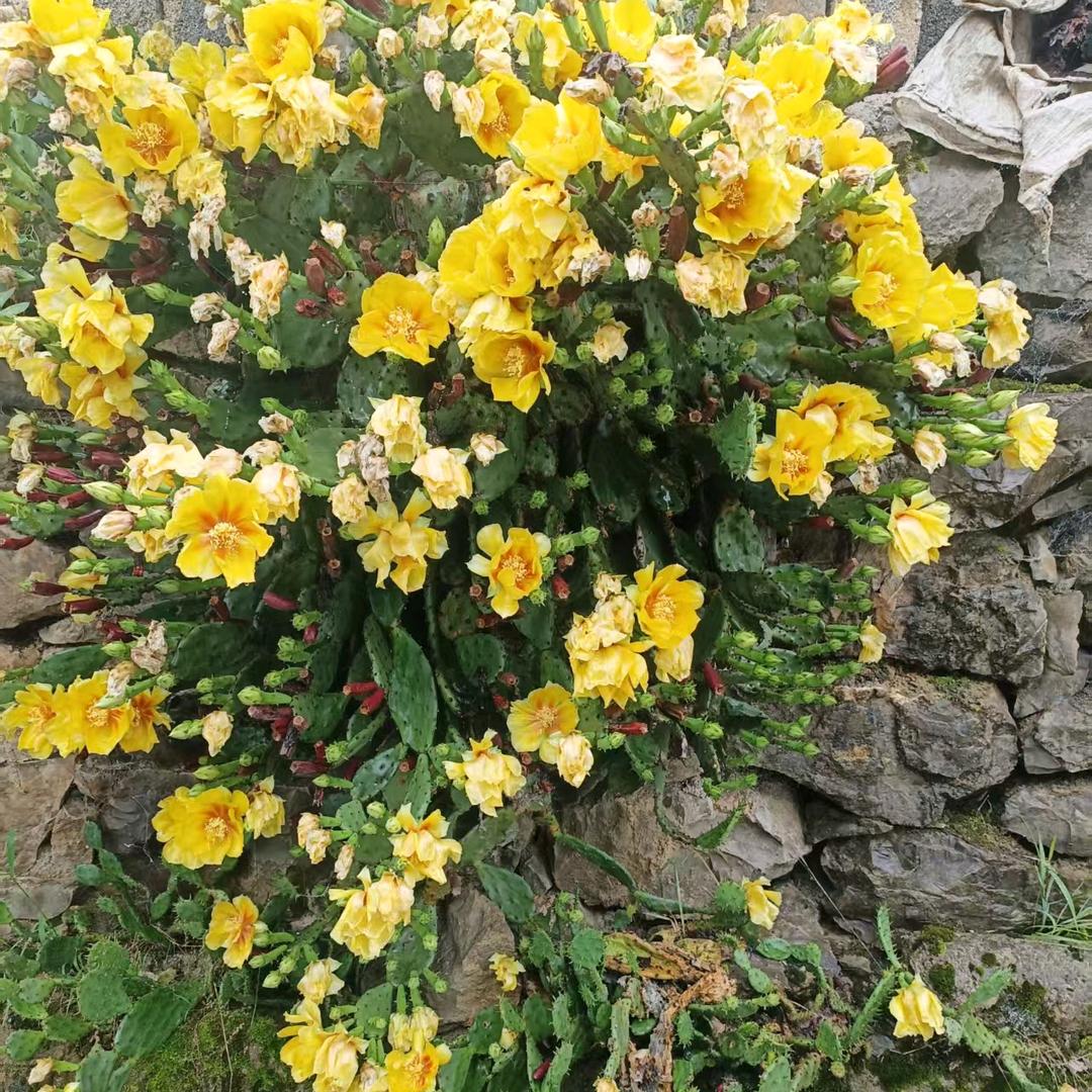 《永远爱你》