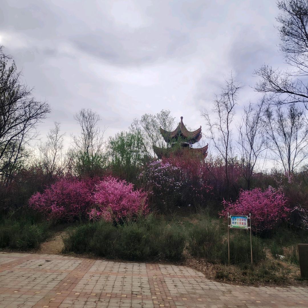 活在当下