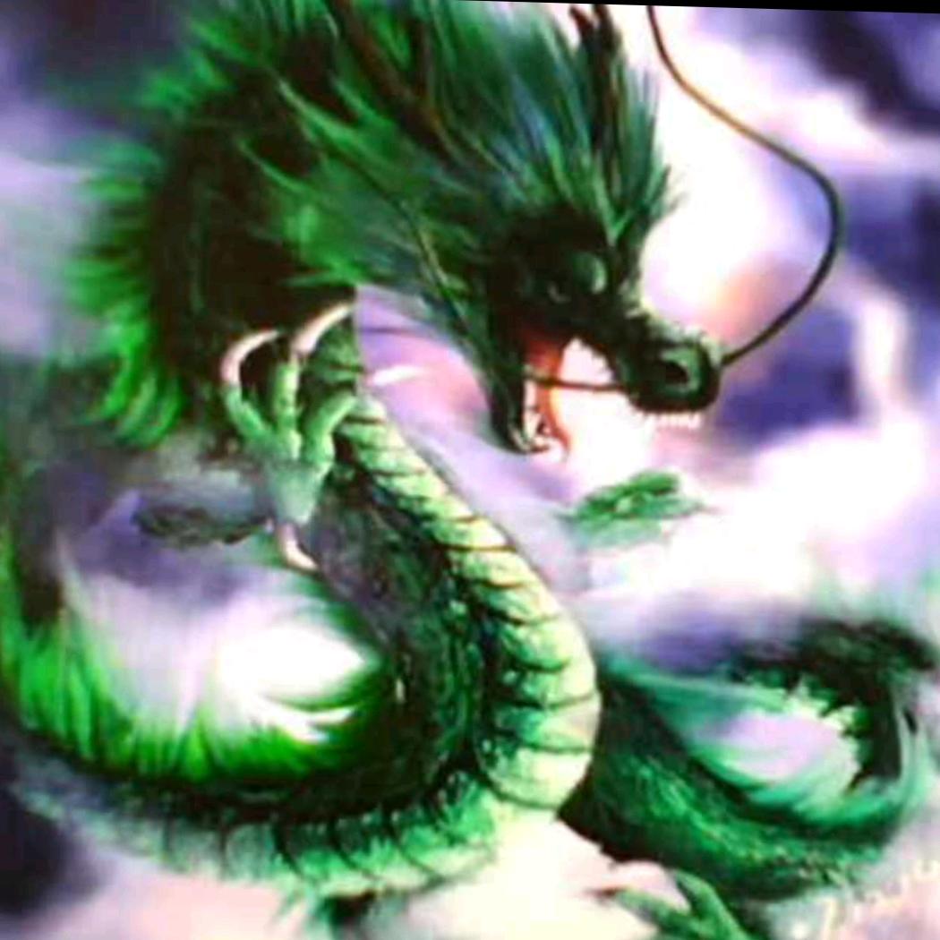 龙哥财经