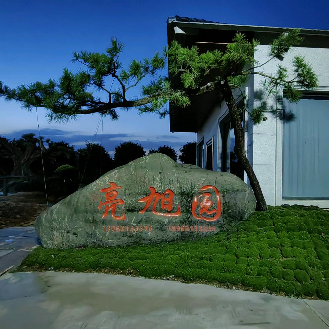 亮旭园艺