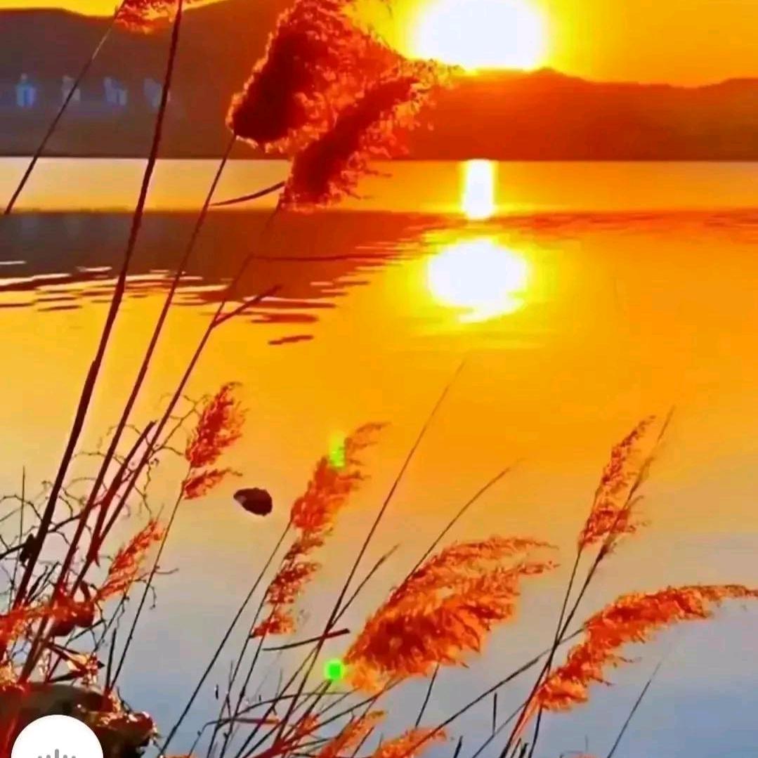 井底之蛙，没见过世面的土老帽