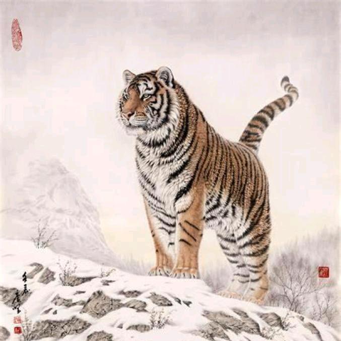 修心养性