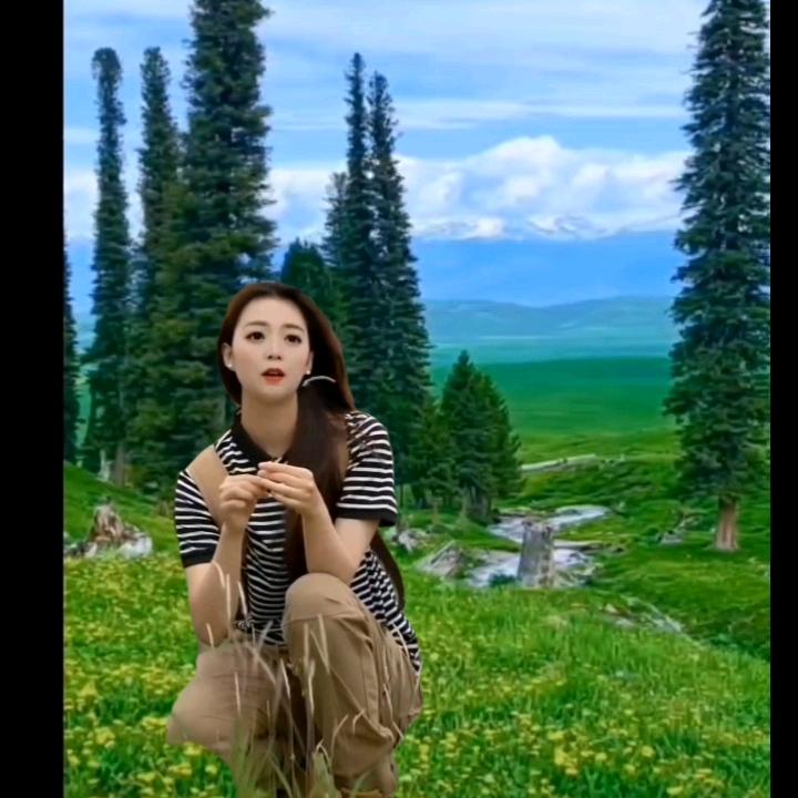 梦想成真，