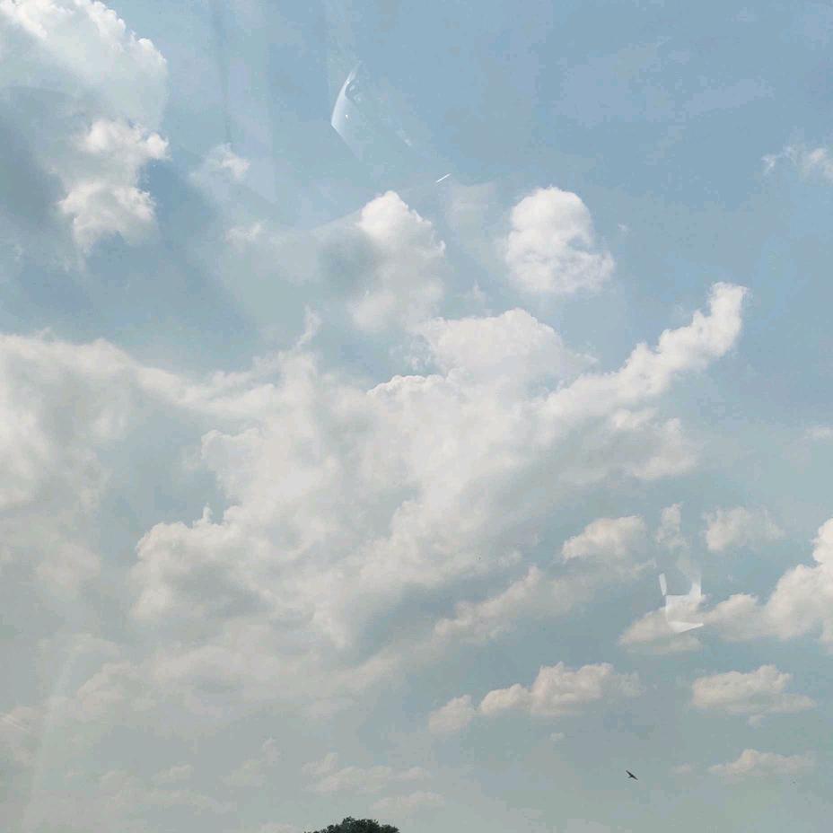 昙花一现