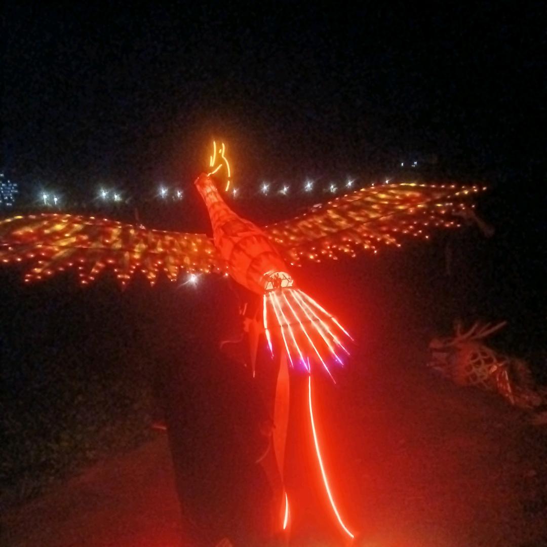 龙飞凤舞（聚升航空）