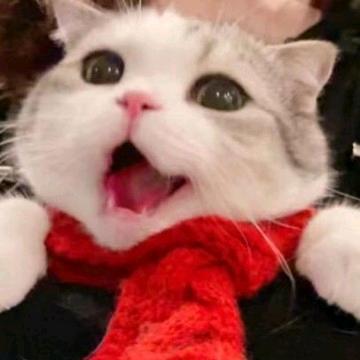 破晓大魔王