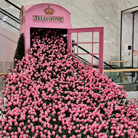 🌈🌈珍享🌈🌈