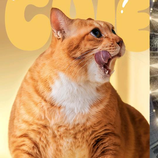 对方正在输入。