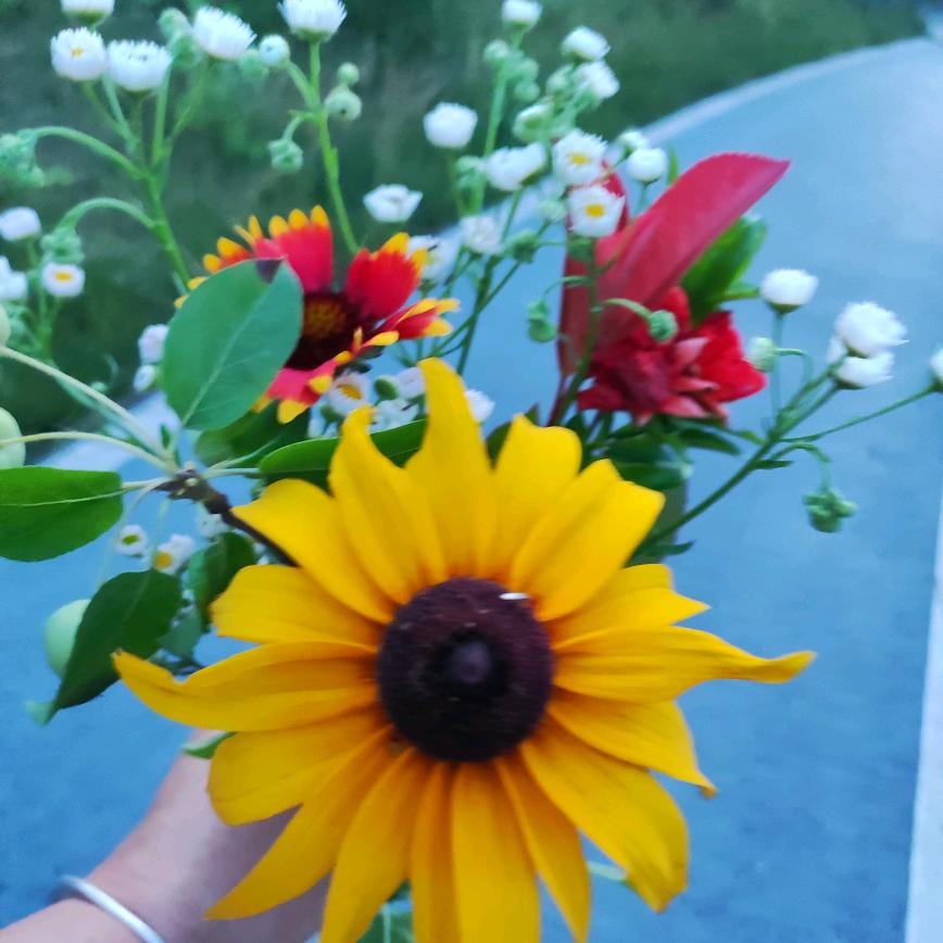 花开花落😊