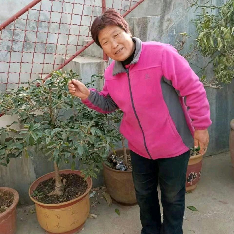 生活如此的美好
