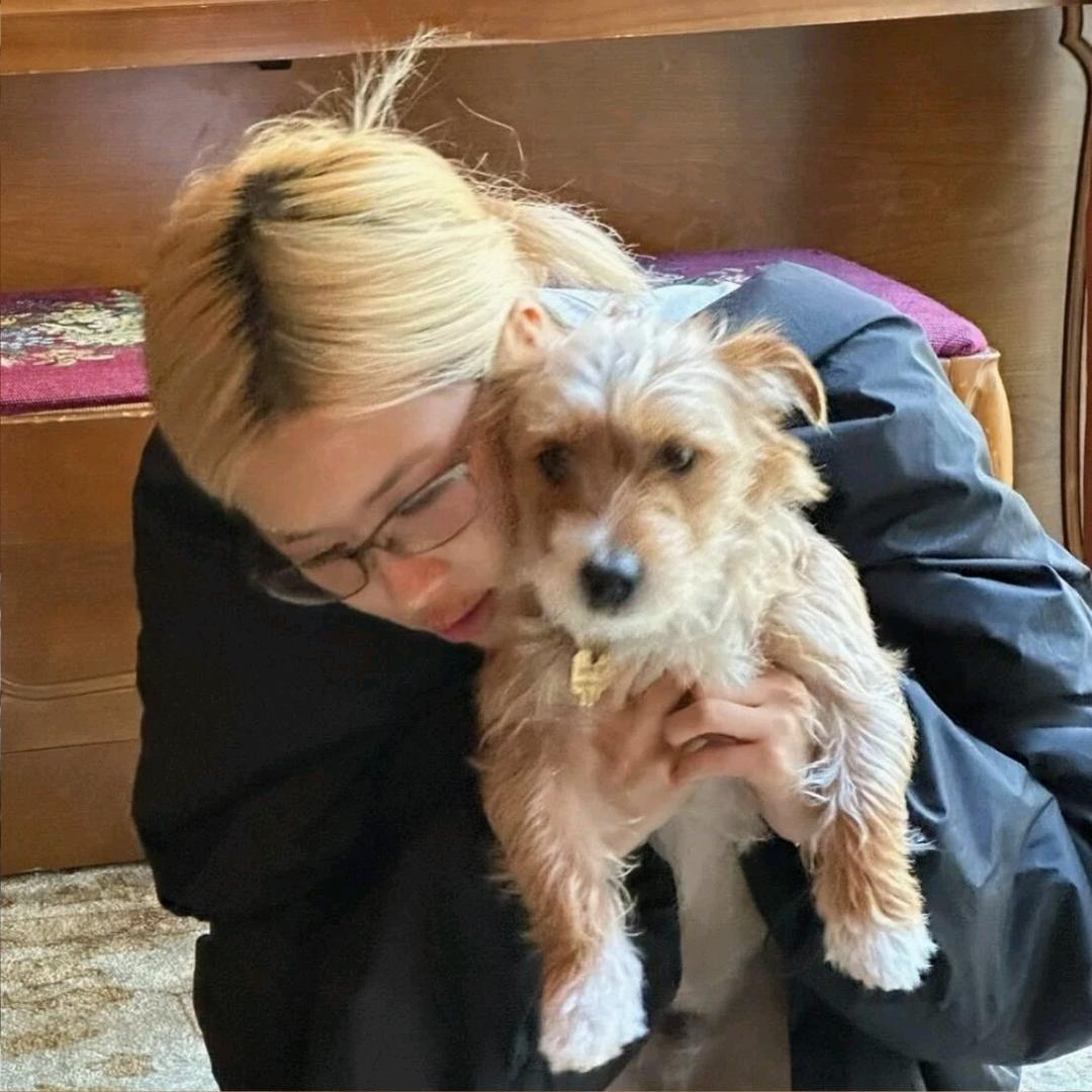 ʕ•ᴥ•ʔ章鱼烧武士