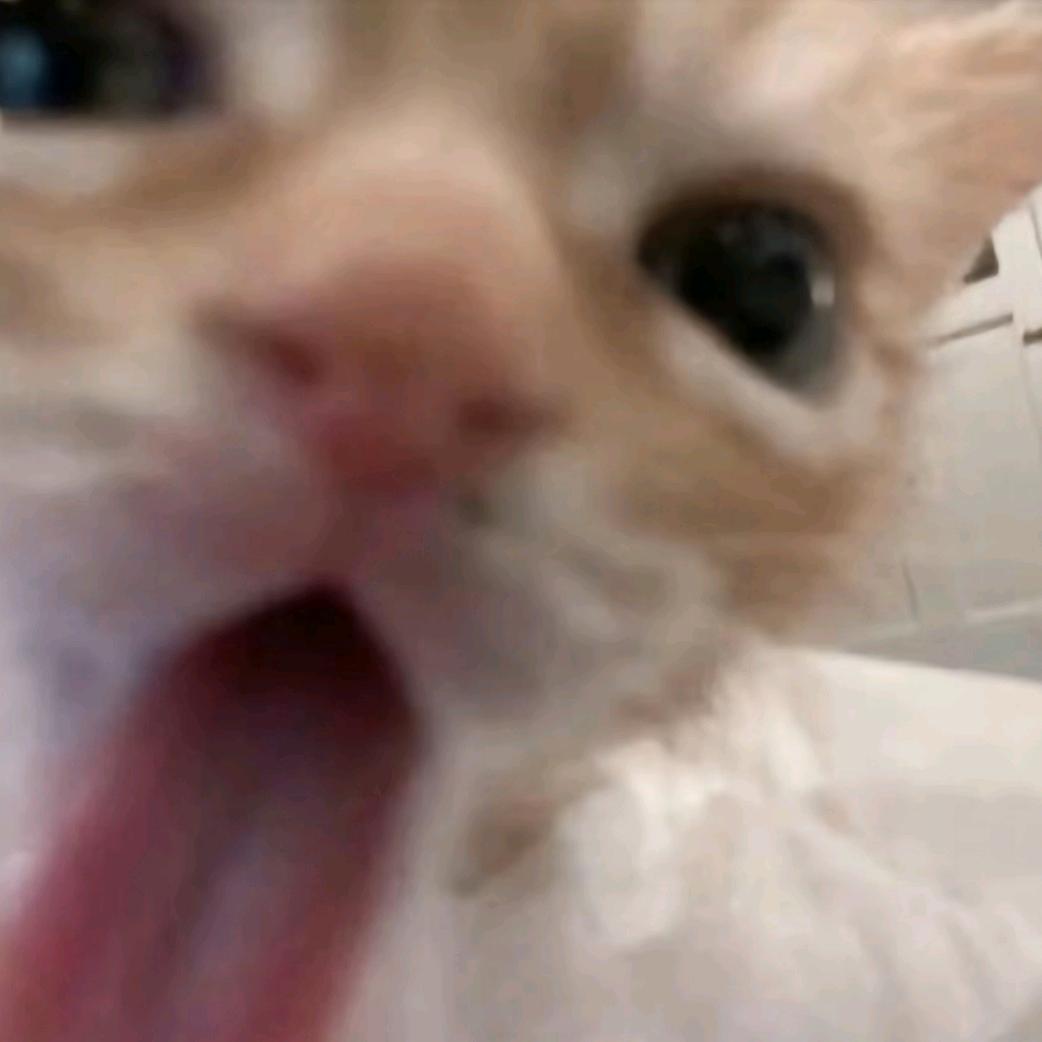 宿江