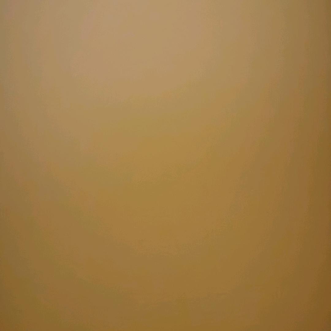 永徽东照