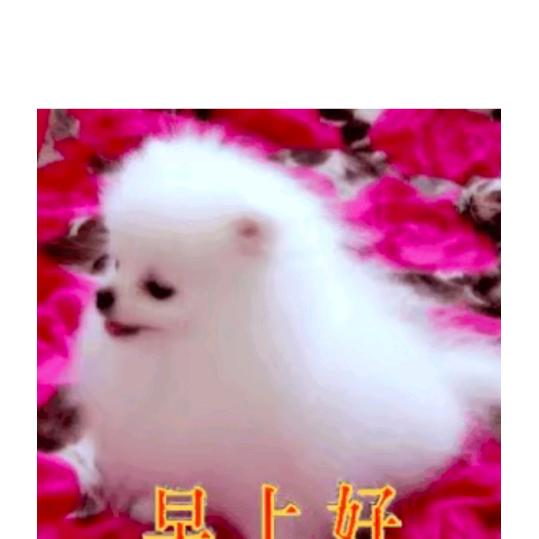 红军