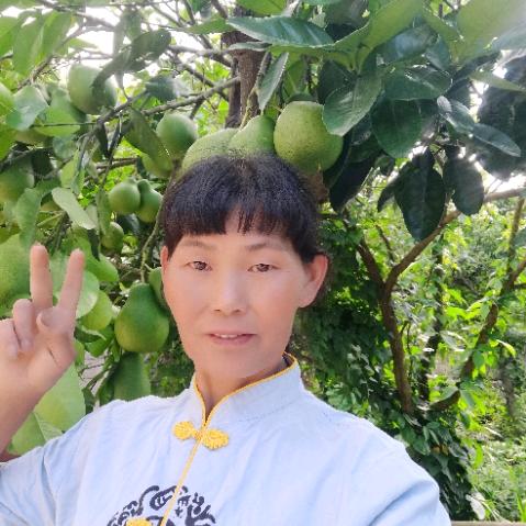 琴深意重（每晚21：00直播）